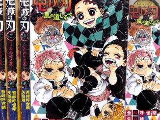 Zoom Japon demon slayer