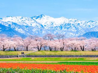 Japon voyage Hokuriku Fukui Alpes