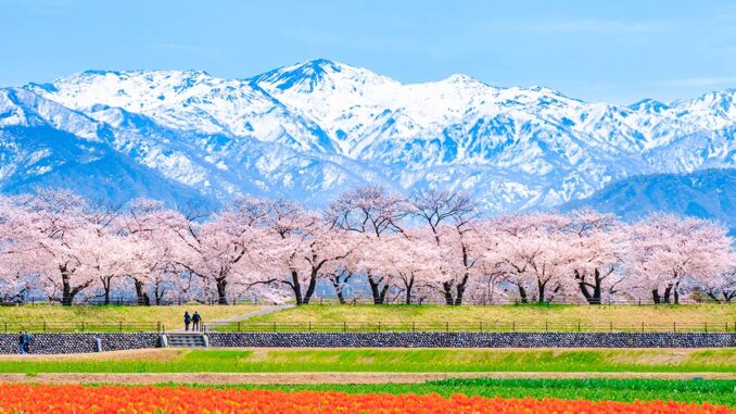 Japon voyage Hokuriku Fukui Alpes